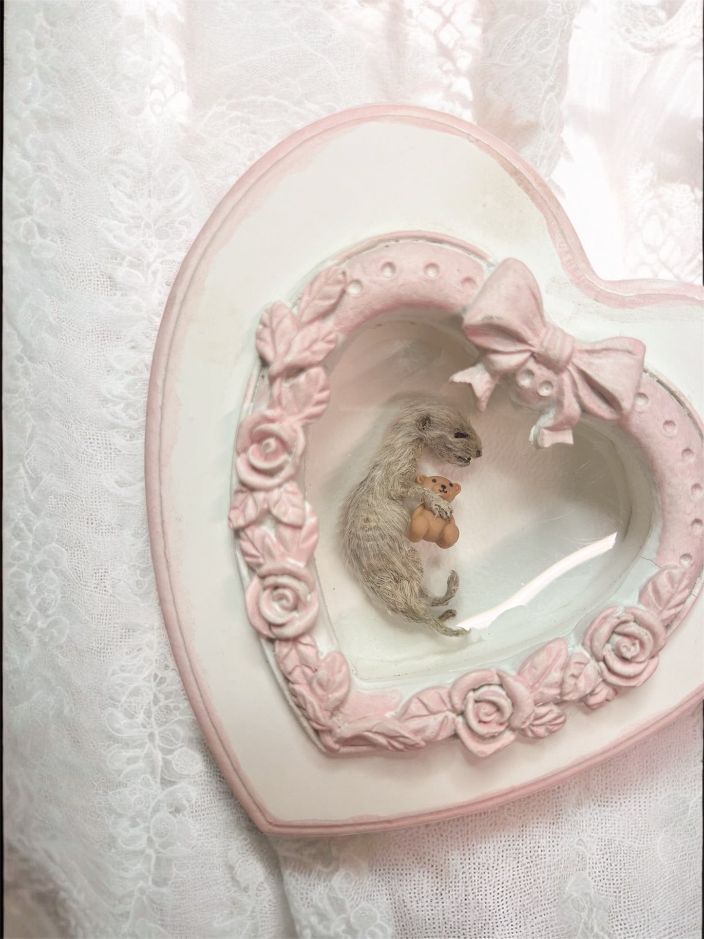 frame - baby ferret