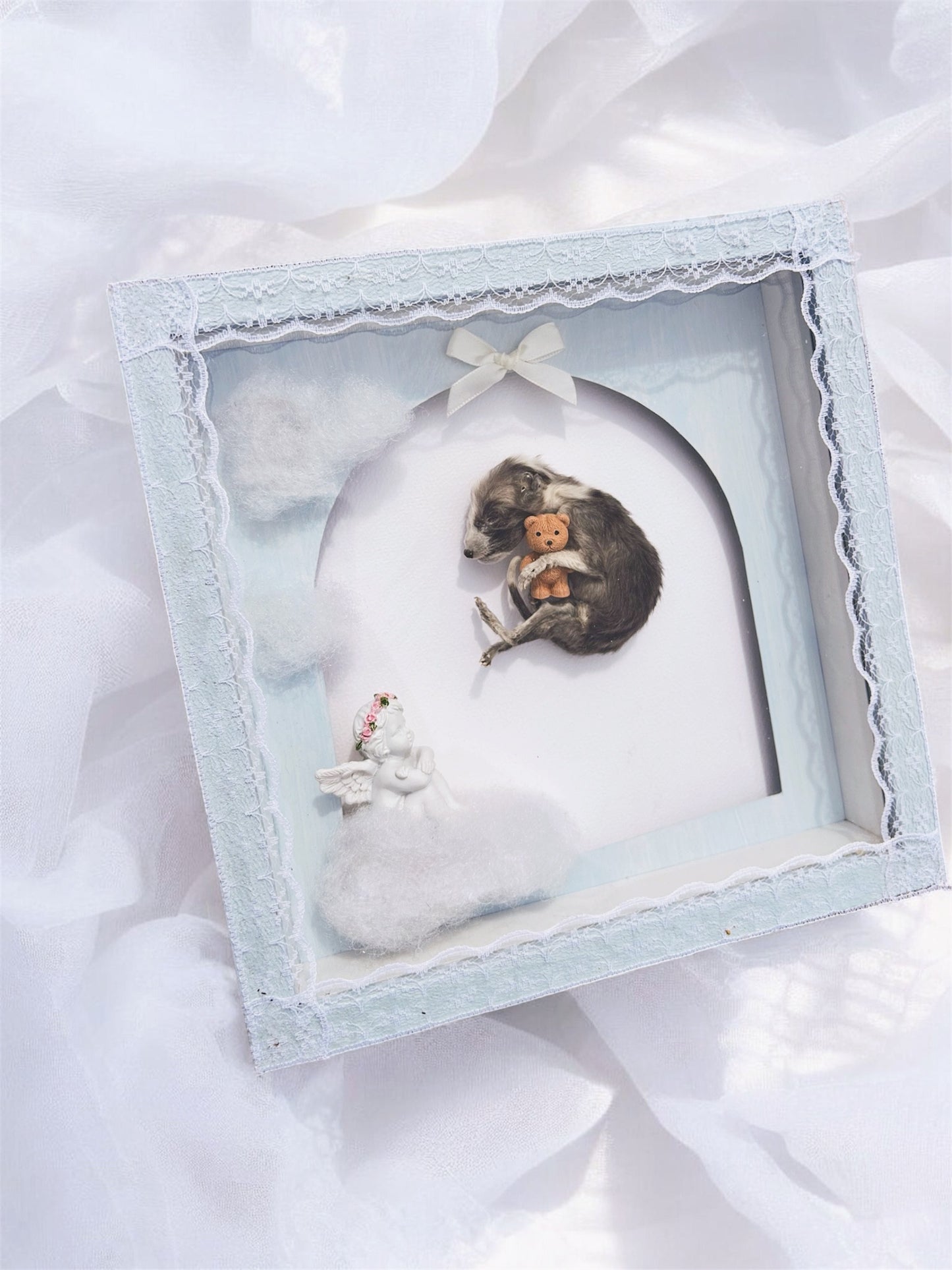 frame - fox pup