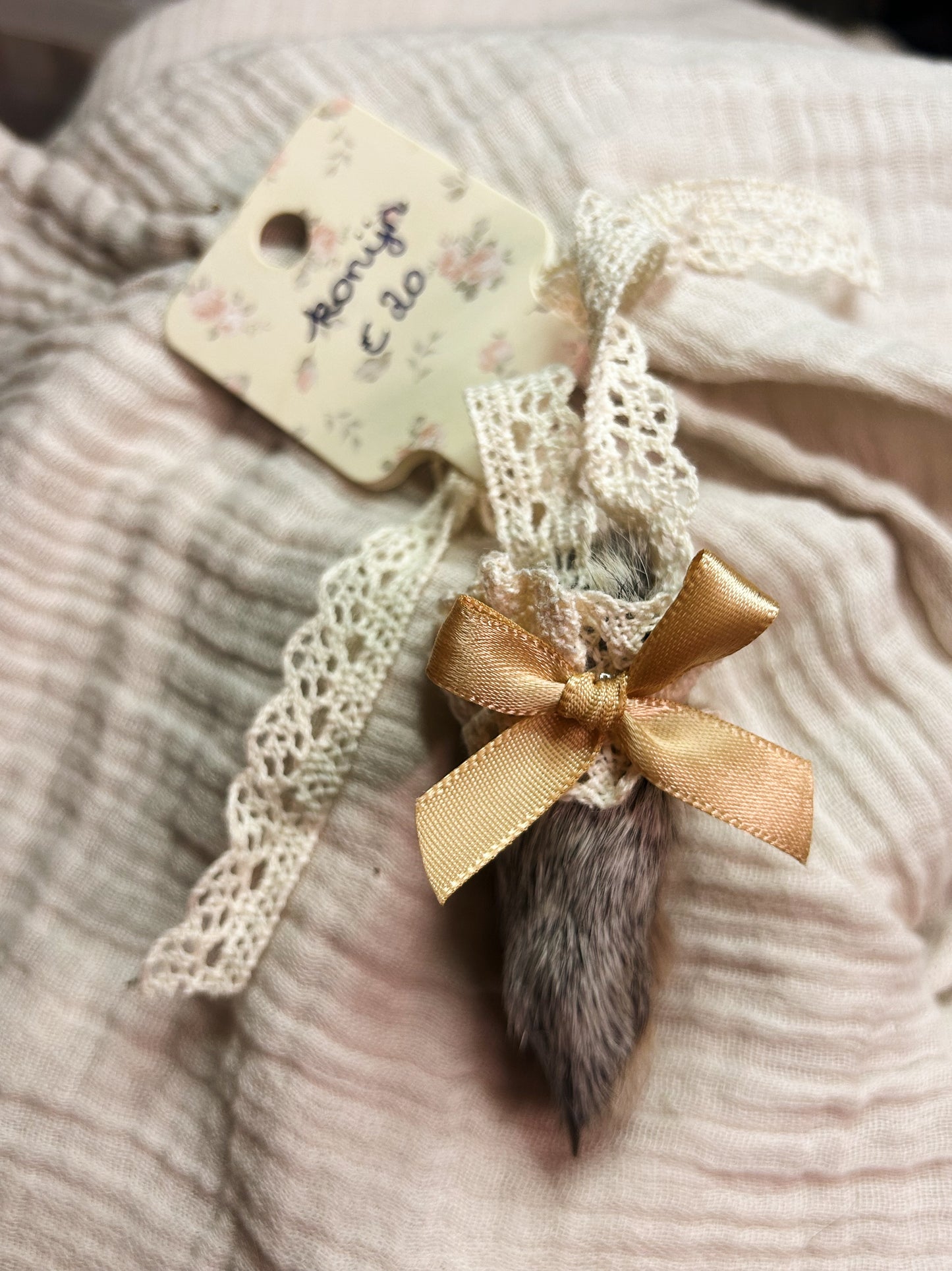 bunny paw grey 💫