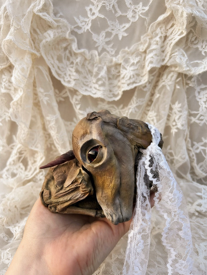 unicorn - zebra foal