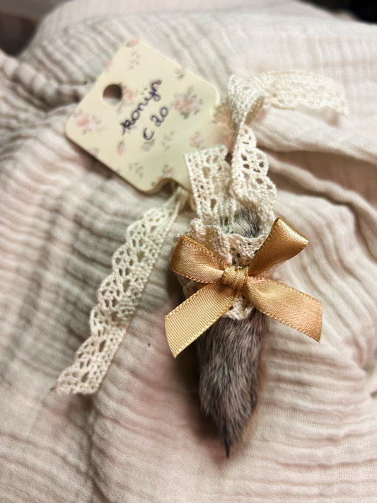 bunny paw grey 💫
