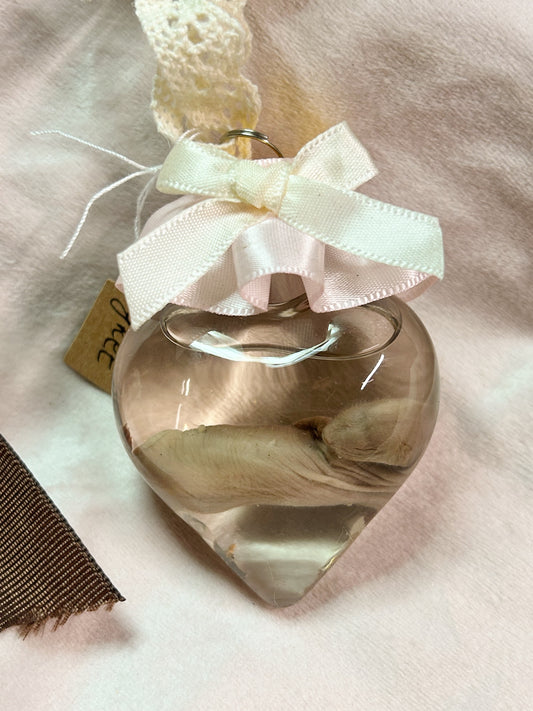 wet specimen - baby ferret