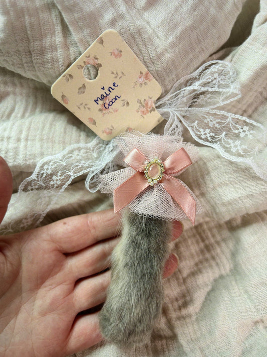 maine coon paw
