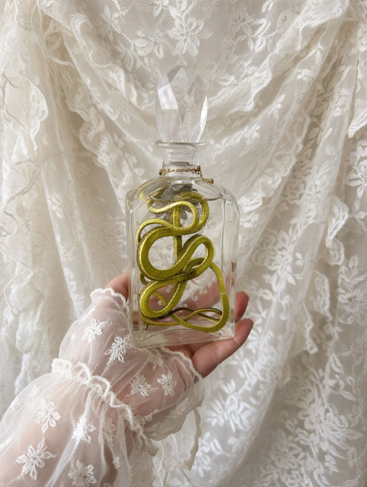 wet specimen - snake